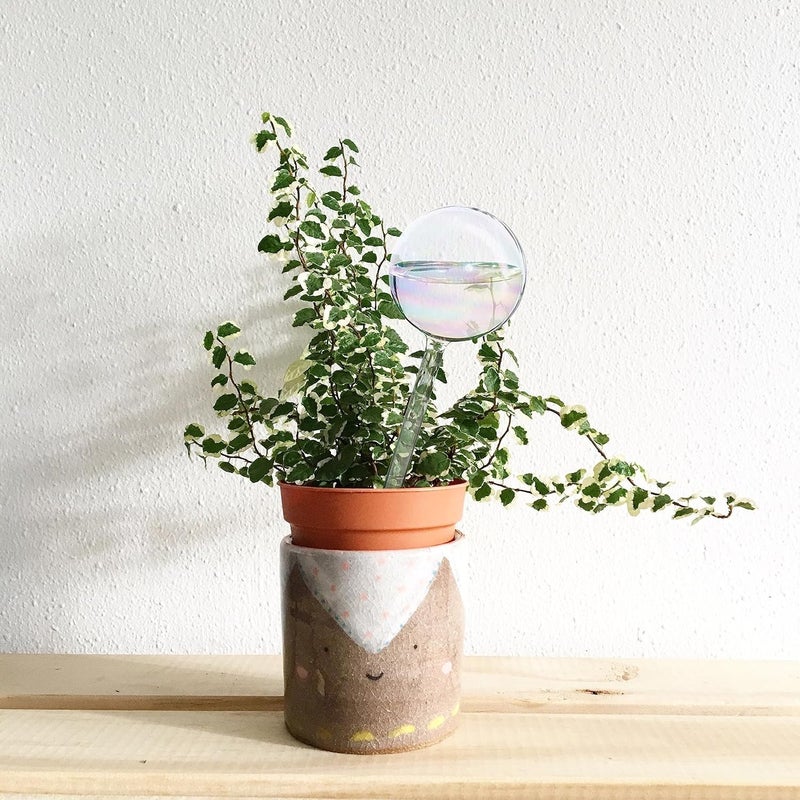 Koorabbee 4 Pcs Iridescent Glass Plant Watering Globes - 9 Inch Self Watering Planter Insert | Plant Watering Devices | Plant Watering Bulbs for Indoor and Outdoor Plants Accessories. - Image 5